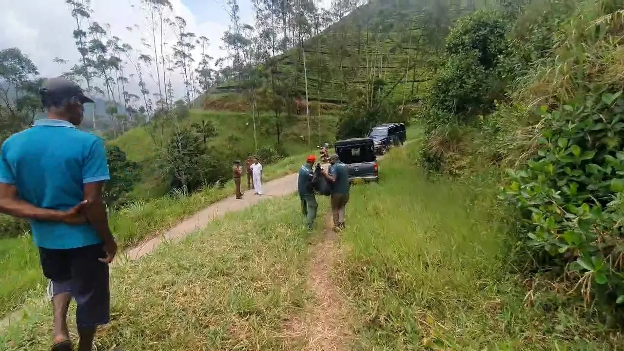 මිය ගොස් සිටි කොටියාගේ සමේ කොටසක් කපාගෙන ගිහින් (ඡායාරූප) 7 4 4