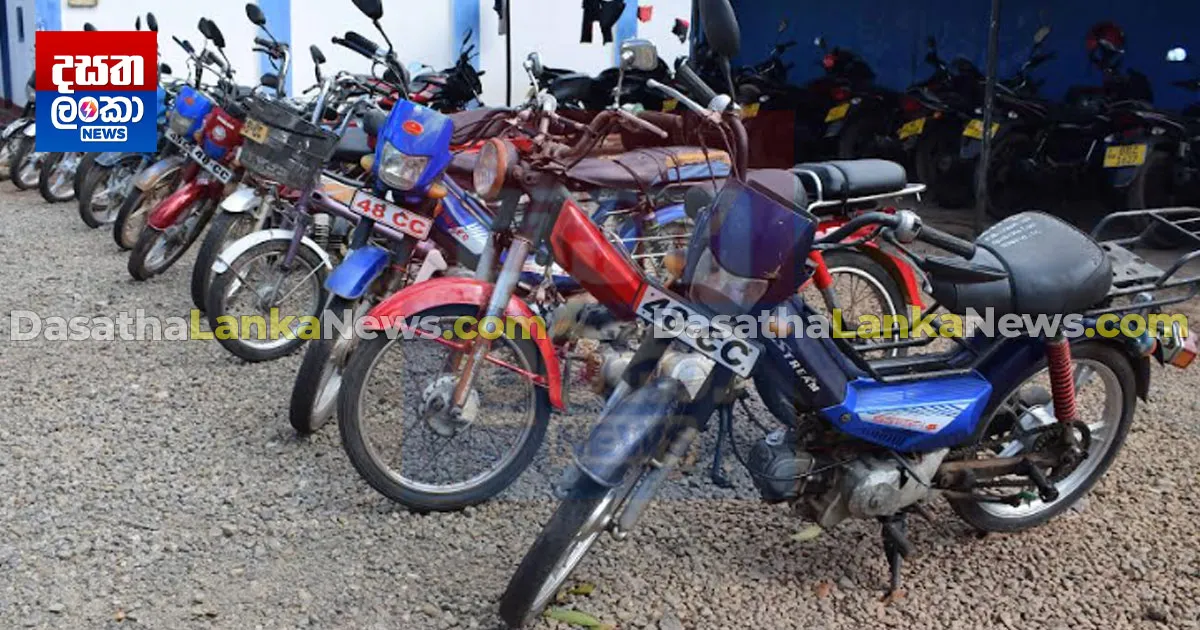 මදුරුවෝ ඉස්සූ 'මැස්සා' පොලිස් දැලේ (ඡායාරූප) Dasatha Lanka News