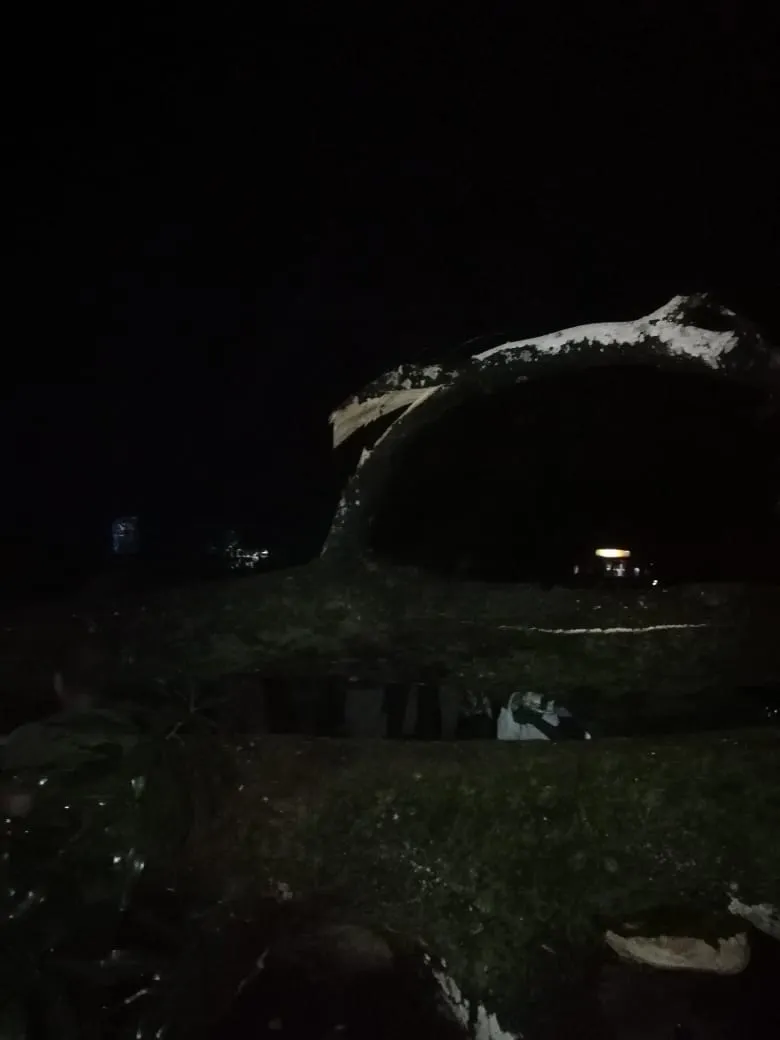 බස් රථයක් මතට ගසක් කඩා වැටී අනතුරක් (ඡායාරූප) 5 WhatsApp Image 2023 10 30 at 10.52.17 PM