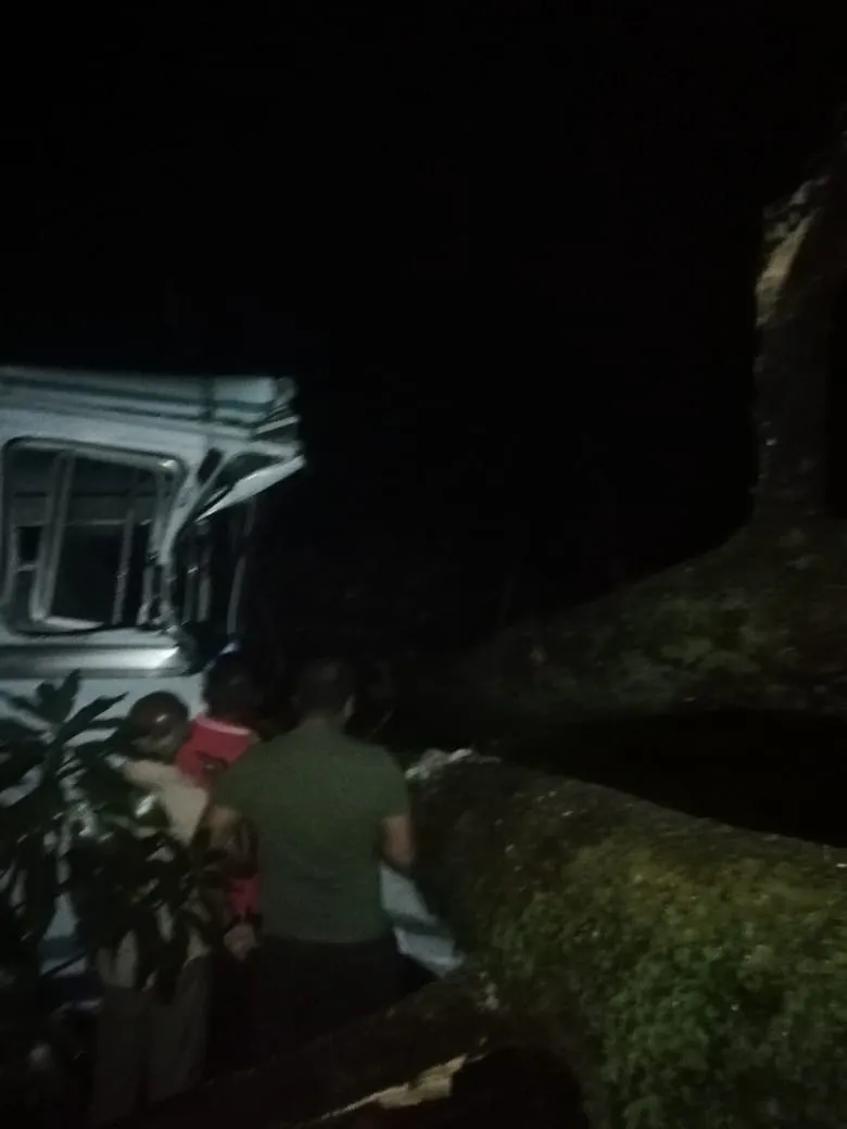 බස් රථයක් මතට ගසක් කඩා වැටී අනතුරක් (ඡායාරූප) 3 WhatsApp Image 2023 10 30 at 10.52.19 PM 1