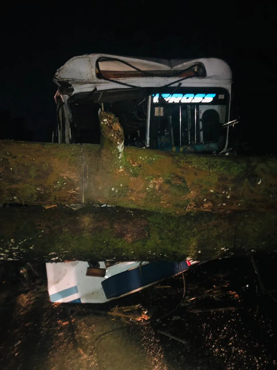 බස් රථයක් මතට ගසක් කඩා වැටී අනතුරක් (ඡායාරූප) 2 WhatsApp Image 2023 10 30 at 10.52.20 PM 1