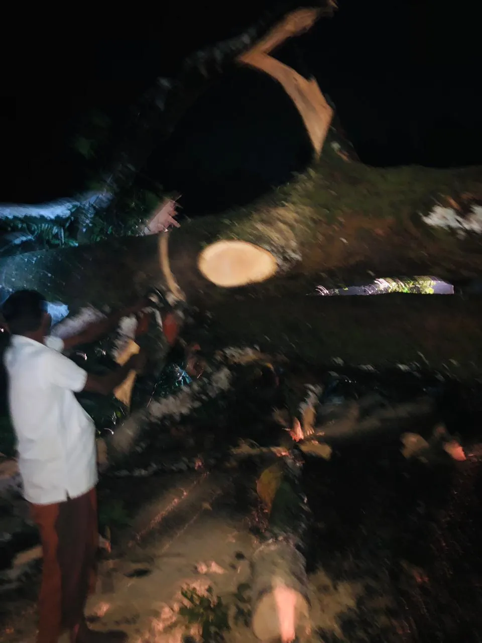 බස් රථයක් මතට ගසක් කඩා වැටී අනතුරක් (ඡායාරූප) 1 WhatsApp Image 2023 10 30 at 10.52.21 PM