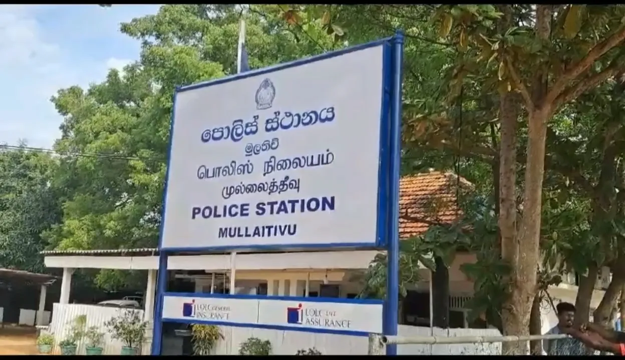 මුලතිව් කුඹුරු ඉඩමකින් ටි 56 පතුරම් 4500 ක් හමුවෙයි 1 IMG 20231227 15000082