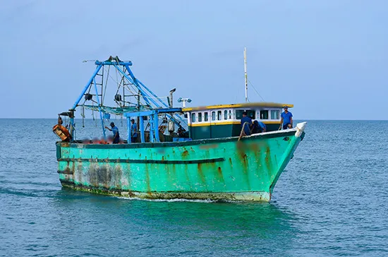 ඉන්දීය ධීවර යාත්රා 04 ක් නාවික හමුදා භාරයට (වීඩියෝ) 2 WhatsApp Image 2023 12 07 at 08.27.36 bde61069