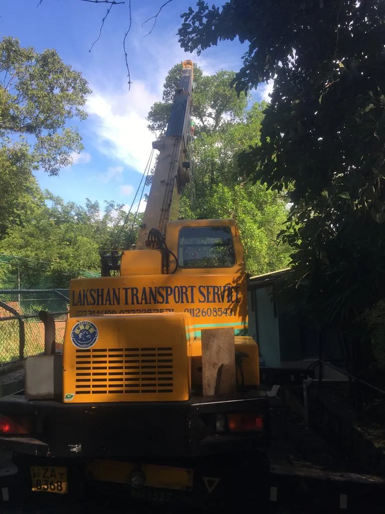 දෙහිවල සත්තු වත්තේ ජිරාෆ් සත්වයෙක් මිය ගිහින් (ඡායාරූප) 1 WhatsApp Image 2023 12 08 at 9.19.41 AM