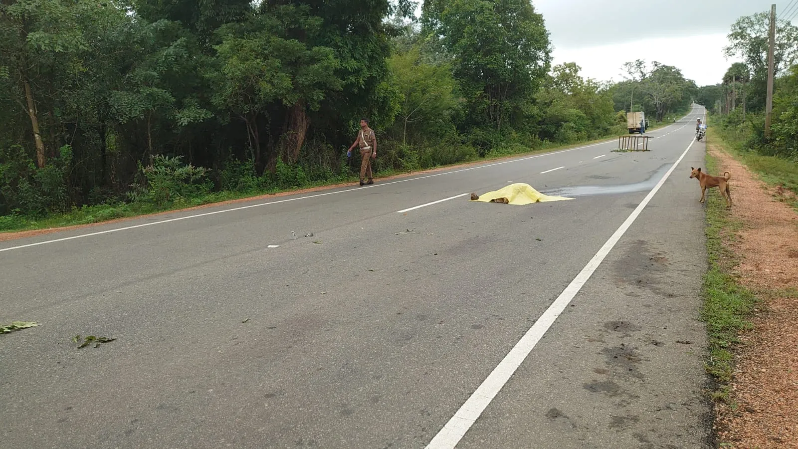 රිය අනතුරකින් මියගිය බවට සැකකෙරෙන පුද්ගලයෙකුගේ මළ සිරුරක් මහ මඟ (ඡායාරූප) 1 Road Body 2