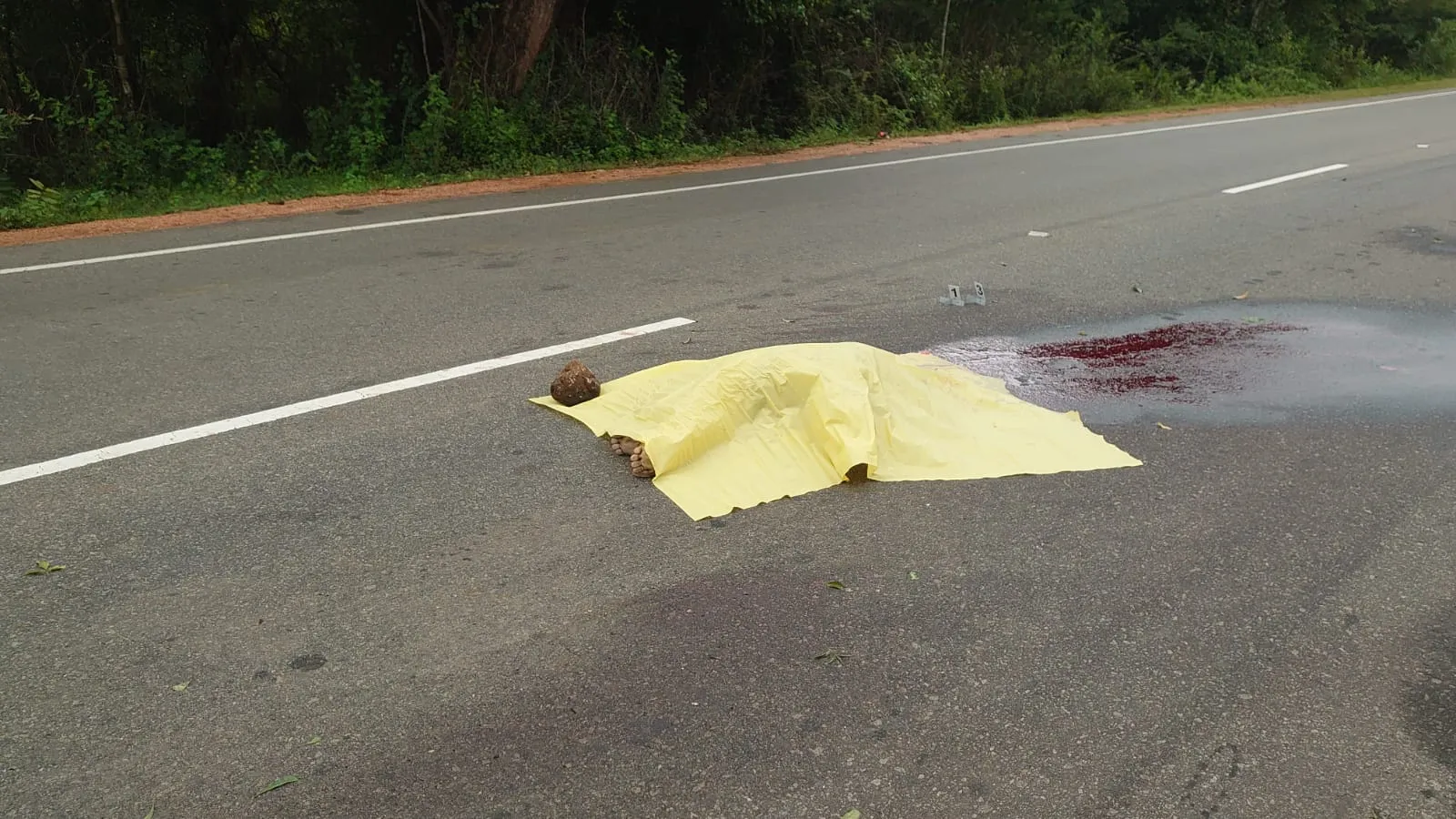 රිය අනතුරකින් මියගිය බවට සැකකෙරෙන පුද්ගලයෙකුගේ මළ සිරුරක් මහ මඟ (ඡායාරූප) 3 Road Body 5