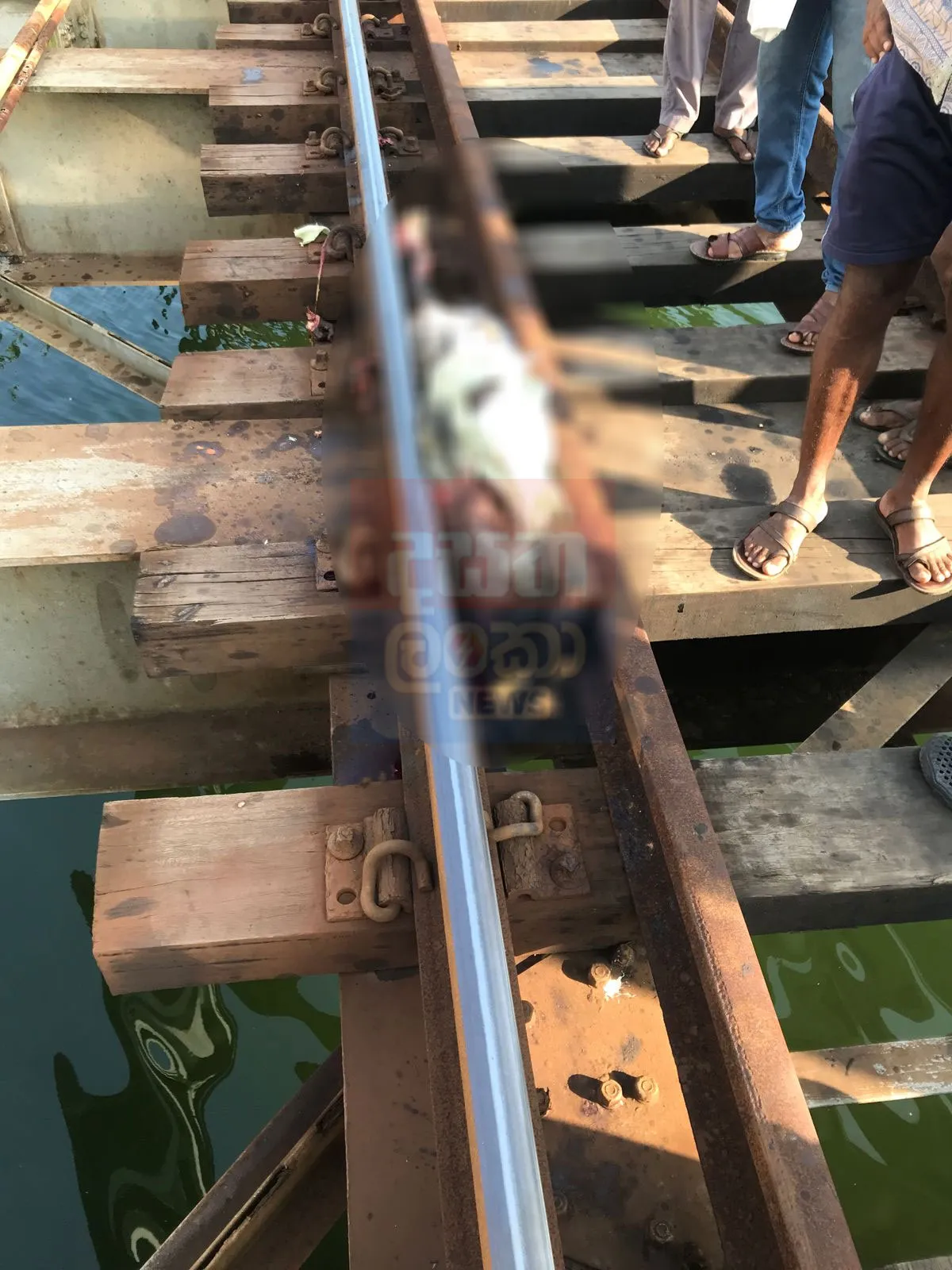 මග්ගොන දුම්රිය පාලම උඩ පුද්ගලයෙකුගේ මළ සිරුරක් (ඡායාරූප) 2 2 5