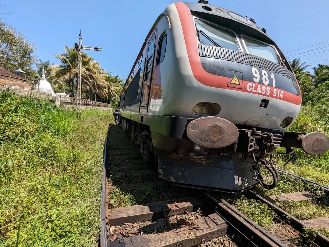 උඩරට මැණිකේ පීලි පනියි (ඡායාරූප) 2 WhatsApp Image 2024 02 07 at 13.58.31