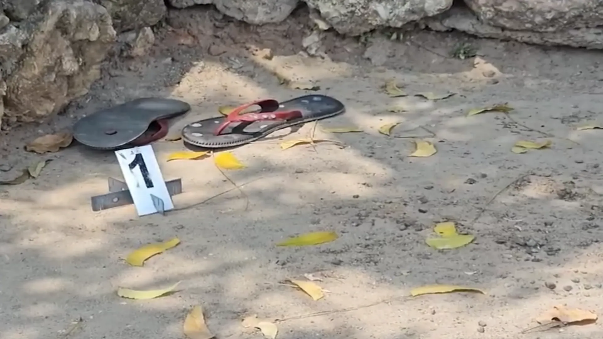 යාපනයේ තරුණයා පැහැරගත් මෝටර් රථය කෝවිලක් අසලින් හමුවෙයි (ඡායාරූප) 7 A 7