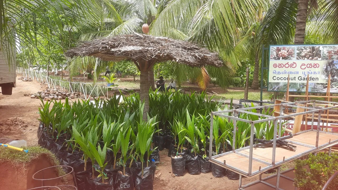 ඩොලරයේ අගය පහළ දැමීමට වැඩිම කැපවීම කළේ ගොවි ජනතාව හා රට විරුවන් - කෘෂි ඇමති 5 WhatsApp Image 2024 03 03 at 2.20.55 PM