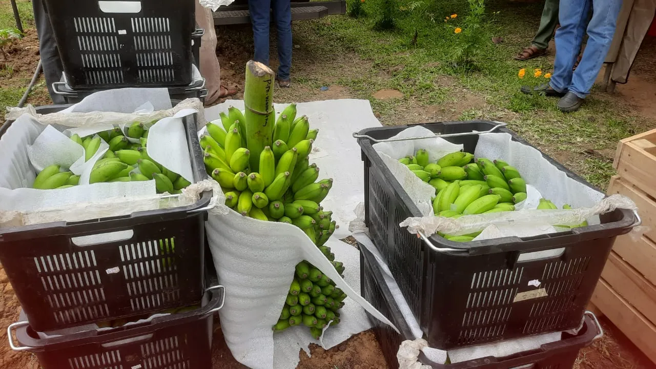 ඩොලරයේ අගය පහළ දැමීමට වැඩිම කැපවීම කළේ ගොවි ජනතාව හා රට විරුවන් - කෘෂි ඇමති 3 WhatsApp Image 2024 03 03 at 2.20.56 PM