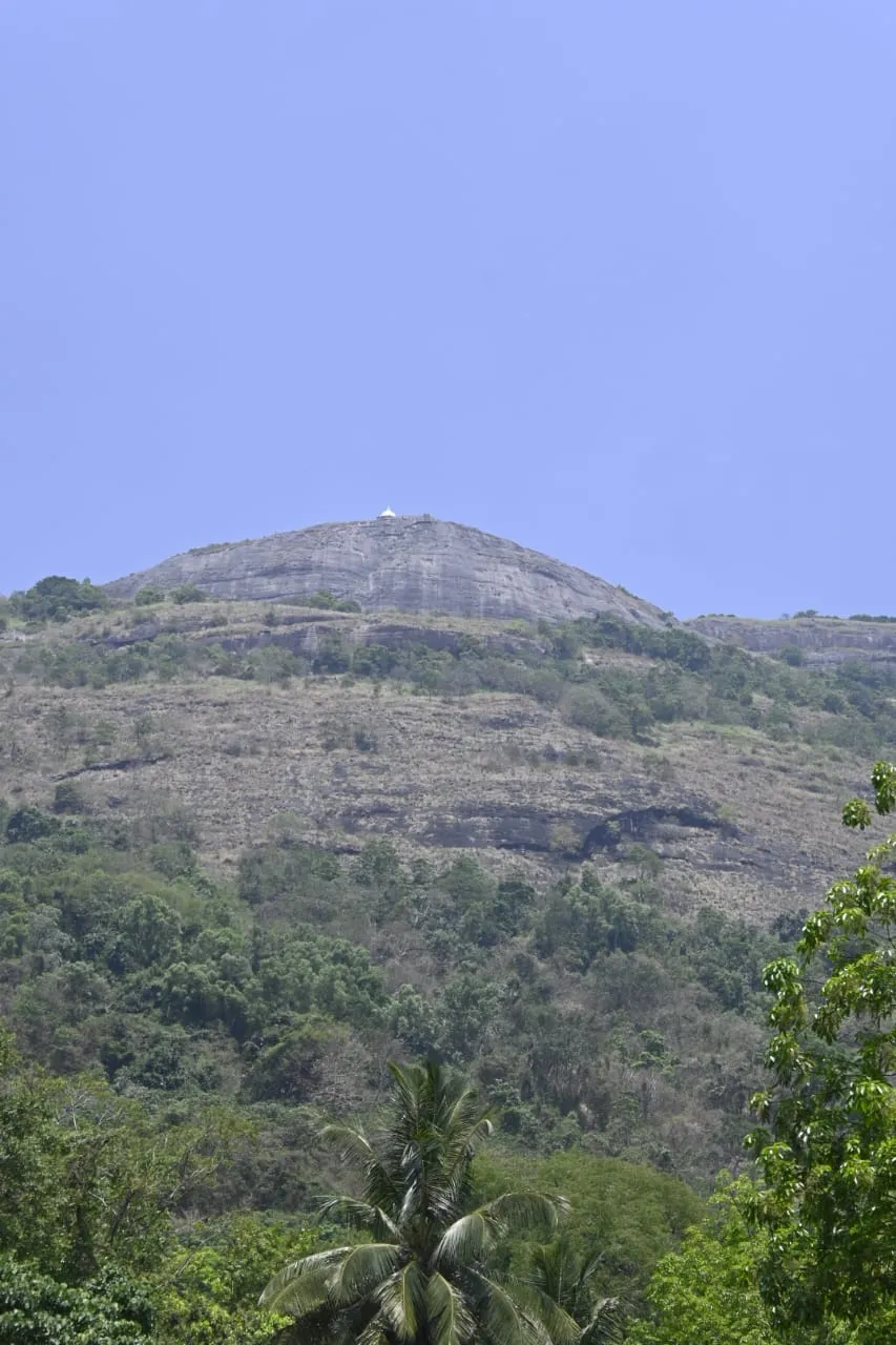 සරසවි සිසුවෙක් කෑගල්ල - අලගල්ල කන්දේ ප්රපාතයකට ඇද වැටෙයි (ඡායාරූප) 3 WhatsApp Image 2024 03 10 at 2.14.44 PM
