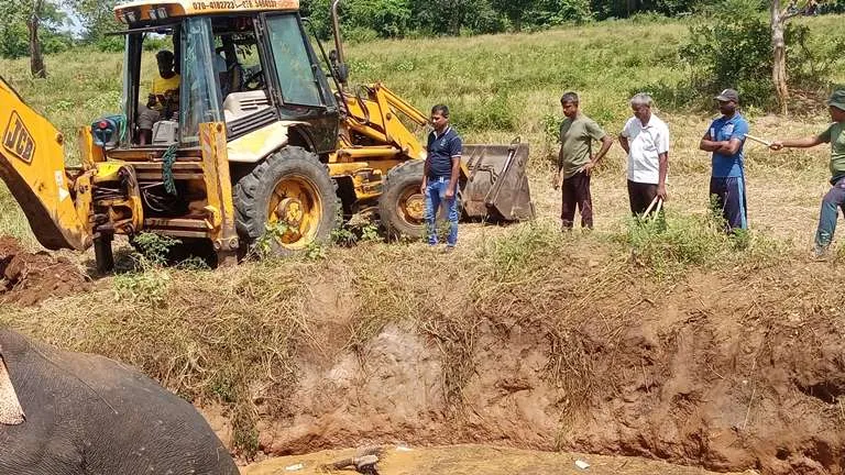 වගා ළිඳකින් ගොඩට ගත් සද්දන්තයා (ඡායාරූප) 10 WhatsApp Image 2024 08 26 at 15.14.10 1