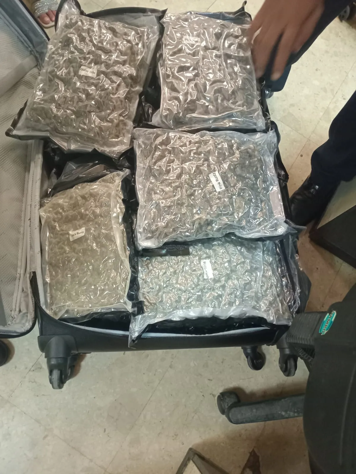 WhatsApp Image 2025 05 13 at 7.24.12 AM 1