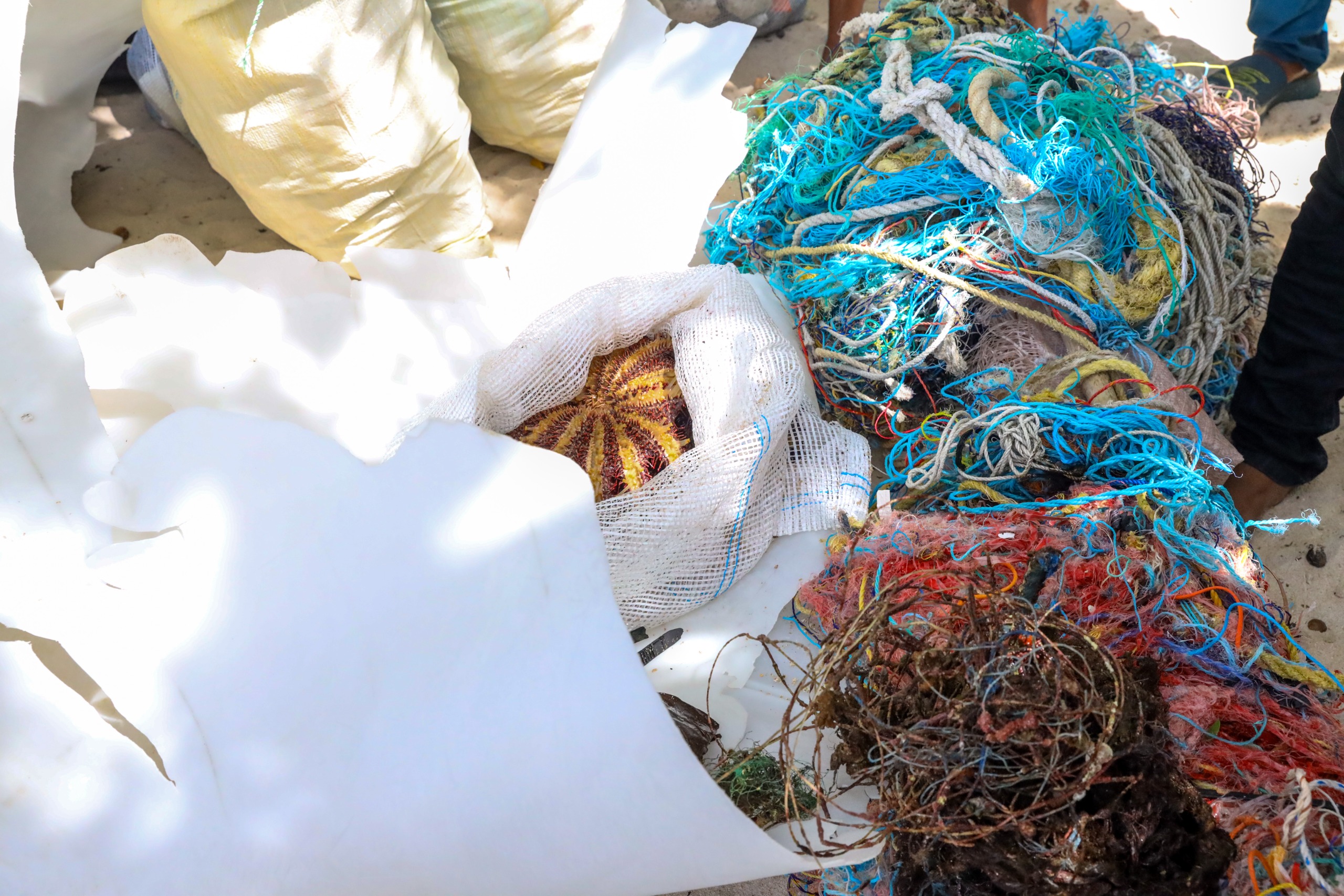 Pigeon Island Underwater Cleaning Project 25