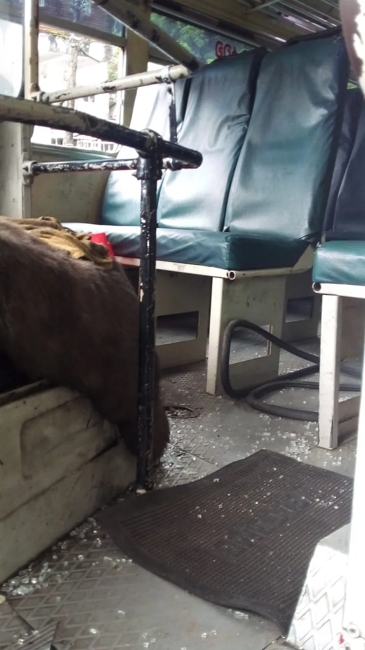 WhatsApp Image 2025 06 13 at 12.28.00 PM