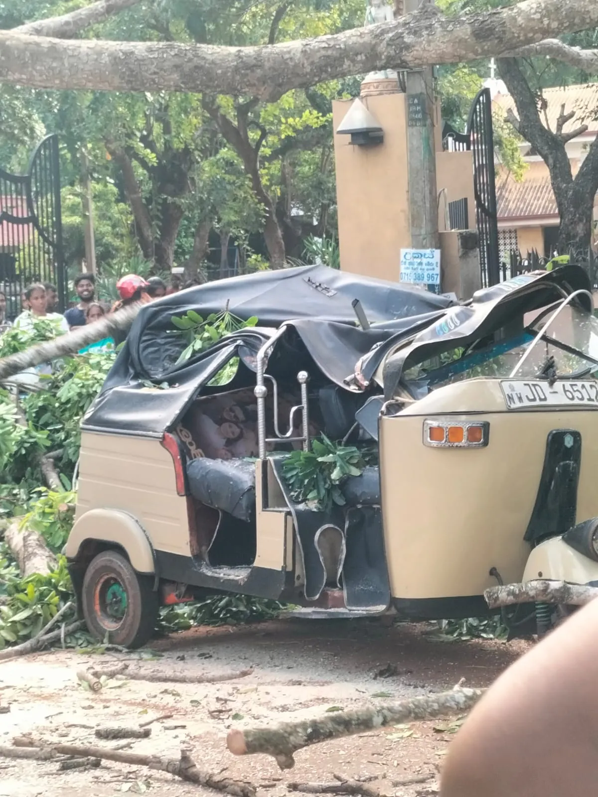 හලාවත - පුත්තලම මාර්ගයට දැවැන්ත ගසක් කඩා වැටී ගමනා ගමනය බාධා (ඡායාරූප) 1 WhatsApp Image 2025 06 20 at 04.37.48 1