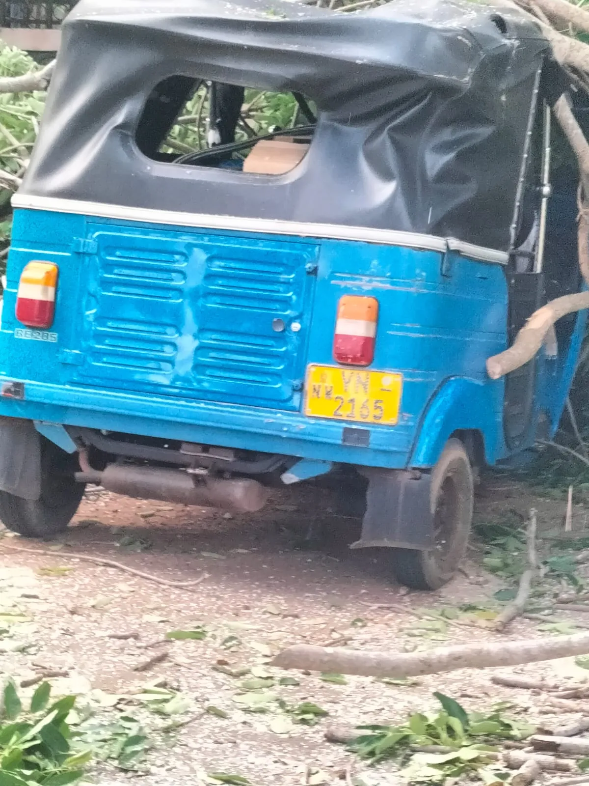 හලාවත - පුත්තලම මාර්ගයට දැවැන්ත ගසක් කඩා වැටී ගමනා ගමනය බාධා (ඡායාරූප) 2 WhatsApp Image 2025 06 20 at 04.37.48