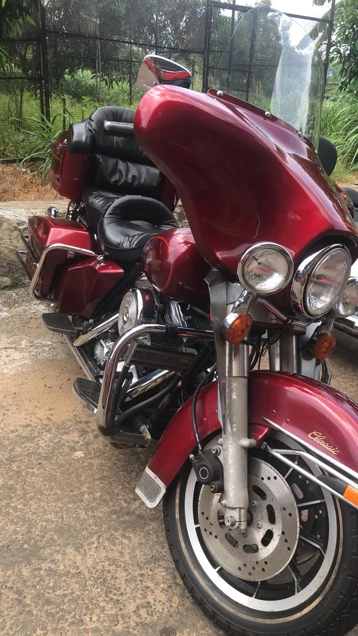 හම්බන්තොට කුරුළු උද්යානයේ ගබඩාවකින් නීති විරෝධීව ගෙන්වූ සුපිරි යතුරුපැදි තොගයක් සොයාගැනේ (ඡායාරූප) 6 WhatsApp Image 2025 07 12 at 4.32.49 PM