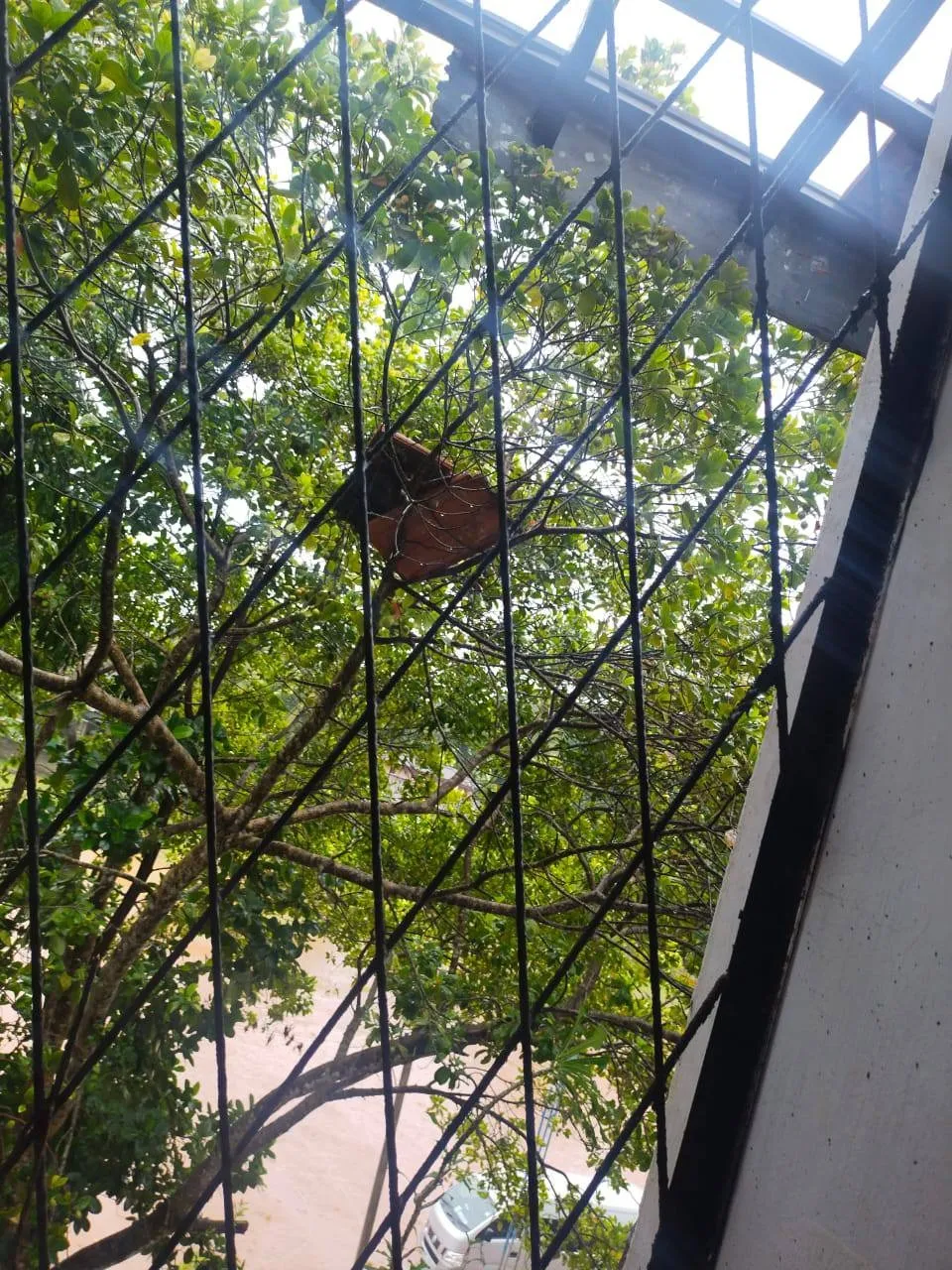 ගාල්ලේ පාසලක වහලවල් හුළඟට ගිහින් (ඡායාරූප) 5 WhatsApp Image 2025 07 25 at 2.17.21 PM