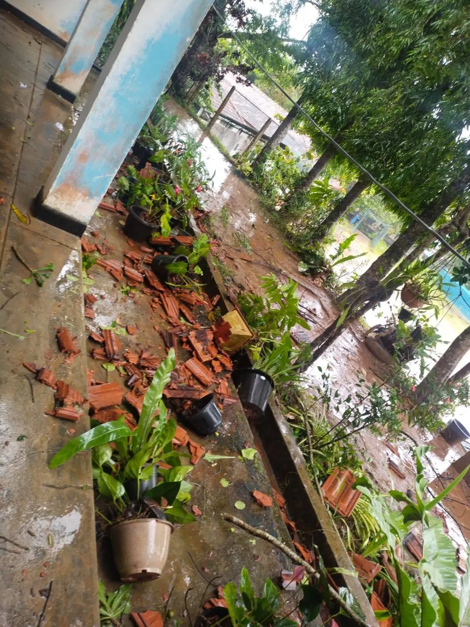 ගාල්ලේ පාසලක වහලවල් හුළඟට ගිහින් (ඡායාරූප) 3 WhatsApp Image 2025 07 25 at 2.17.41 PM