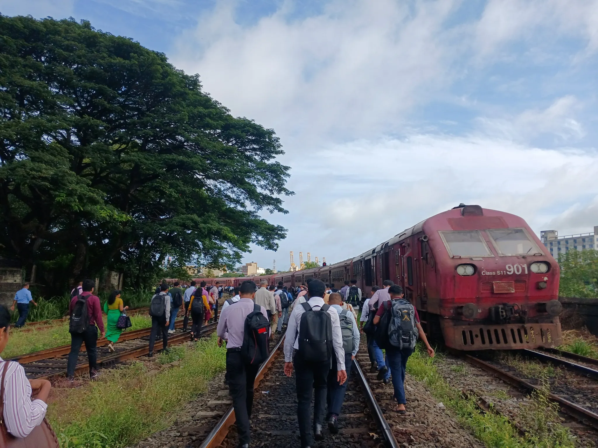 535111637 24262155946798558 2980528201555737886 n 1