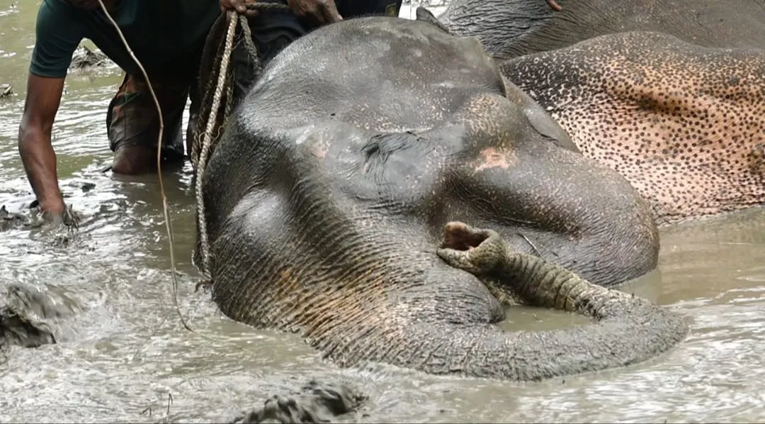 WhatsApp Image 2025 08 04 at 8.27.24 AM