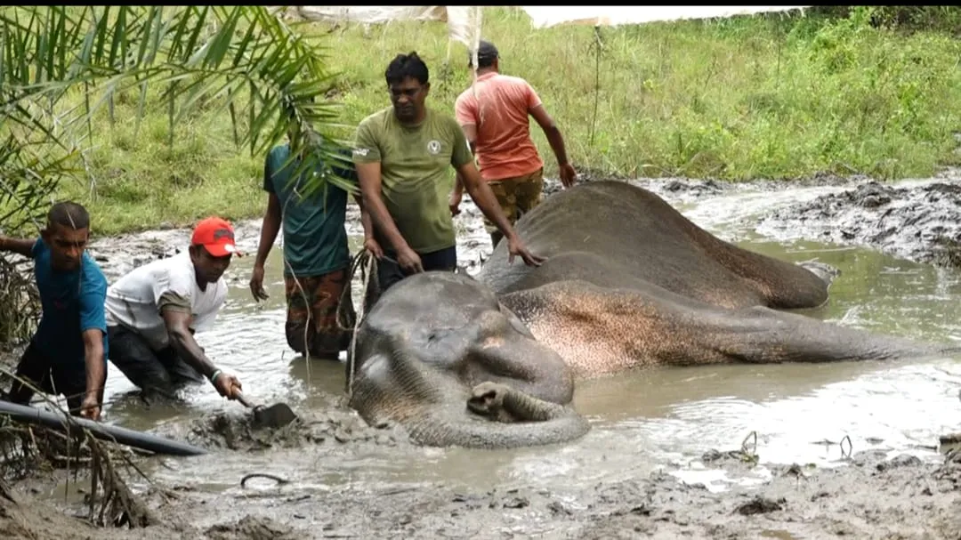 WhatsApp Image 2025 08 04 at 8.27.25 AM