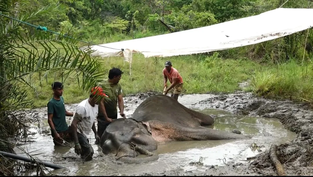 WhatsApp Image 2025 08 04 at 8.27.26 AM