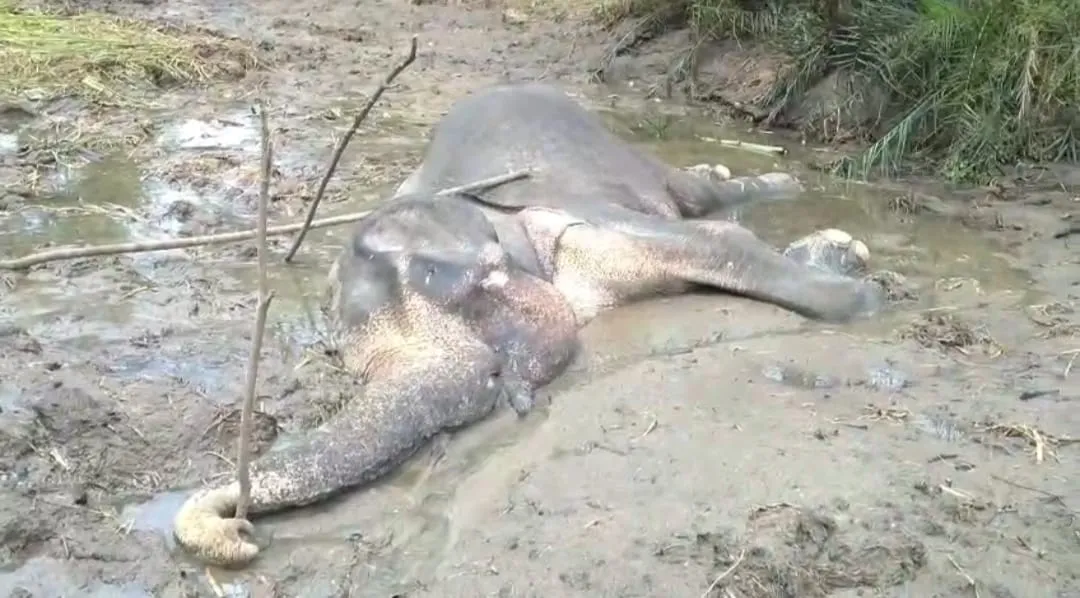 WhatsApp Image 2025 08 04 at 8.27.31 AM