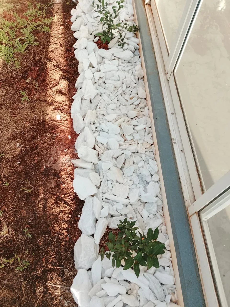 WhatsApp Image 2025 09 08 at 12.40.27 PM 1