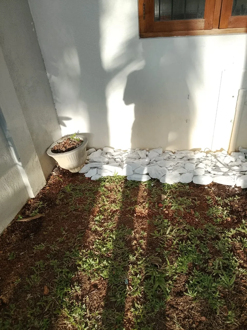 WhatsApp Image 2025 09 08 at 12.40.31 PM 1