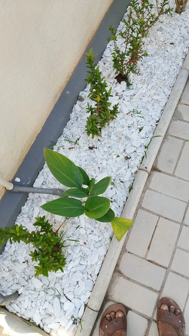 WhatsApp Image 2025 09 08 at 12.40.31 PM