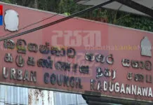 කඩුගන්නාව සභාවේ අයවැයෙන් සජබය පරාද වෙයි