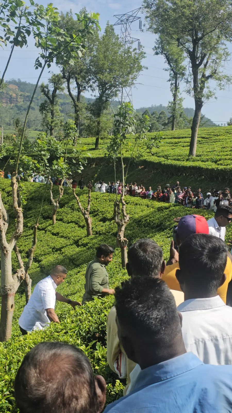 වතු කම්කරුවන් හමුවෙන්න තේ වත්තටම ගිය ජනපති (ඡායාරූප) 4 01 13