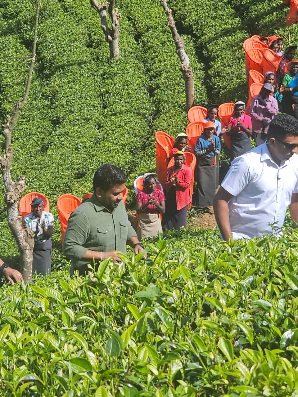 වතු කම්කරුවන් හමුවෙන්න තේ වත්තටම ගිය ජනපති (ඡායාරූප) 5 01 14