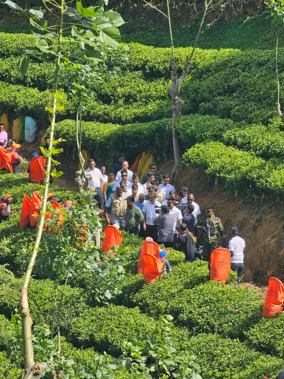 වතු කම්කරුවන් හමුවෙන්න තේ වත්තටම ගිය ජනපති (ඡායාරූප) 1 01 2