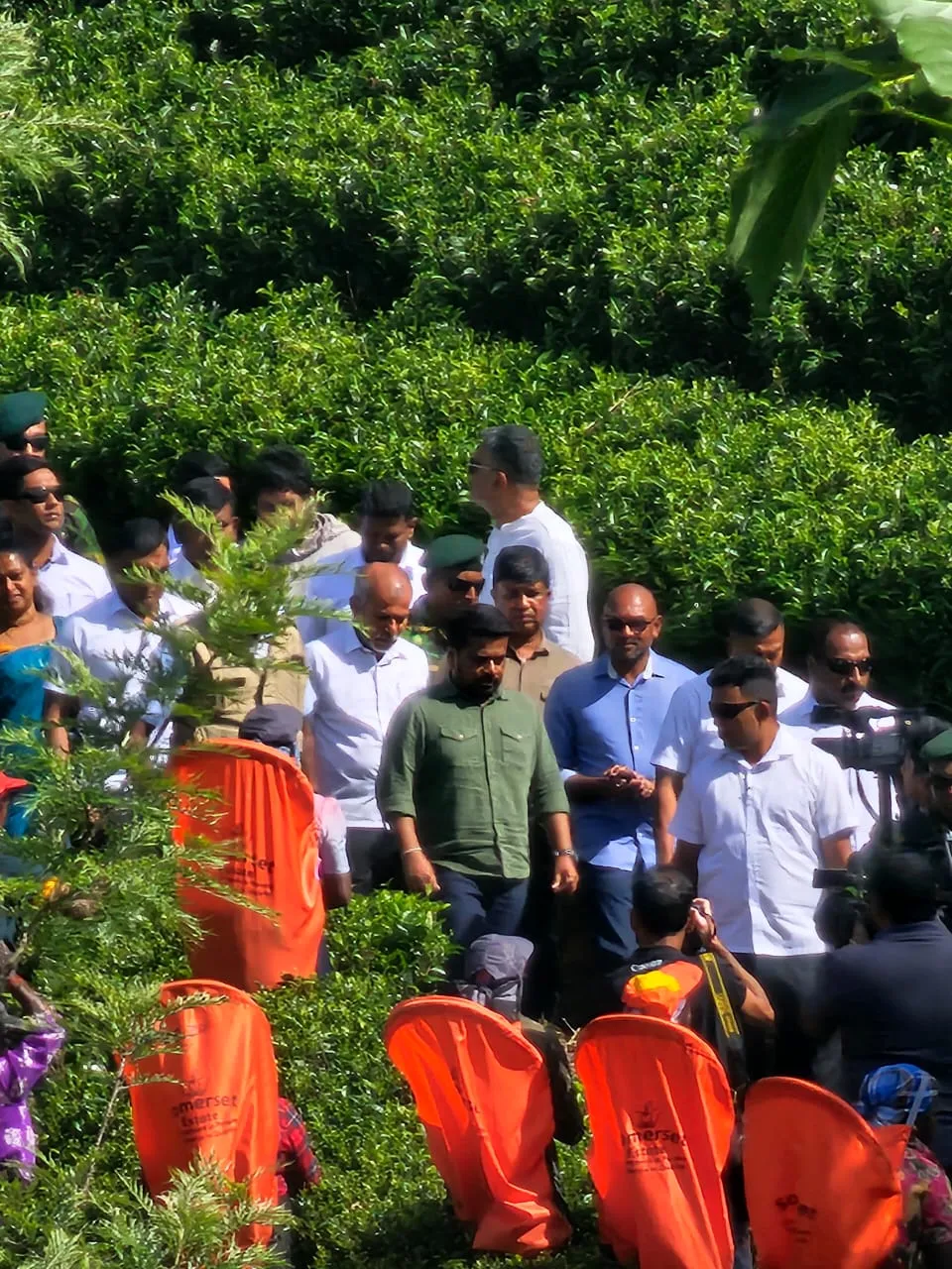 වතු කම්කරුවන් හමුවෙන්න තේ වත්තටම ගිය ජනපති (ඡායාරූප) 2 01 3