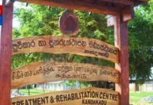 කන්දකාඩු පුනරුත්තාපන මධ්යස්ථානයේ සිටි රැඳවියන් 04ක් පළායයි