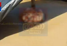 කඳෙන් වෙන් වූ හිසක් මොරගල්ල වෙරළ තීරයේ