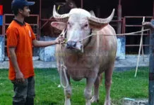 ඩොනල්ඩ් ට්රම්ප්ගෙන් පසු බංග්ලාදේශයෙන් මතු වූ ‘බෙන්ජමින් නෙතන්යාහු’