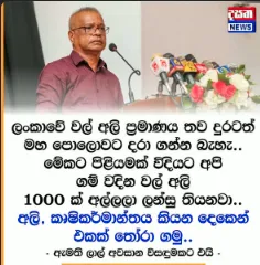 දසත නිල ලාංඡනය අවභාවිත කරමින් සැකසූ ව්යාජ පෝස්ටුවක් 1 Screenshot 2026 08 06 213203