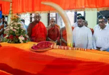 අතිපූජ්ය කැප්පෙටියාගොඩ සිරිවිමල නාහිමිගේ ශ්රී දේහයට ජනපති අවසන් ගෞරව දක්වයි