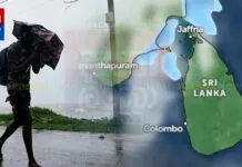 දිවයිනේ බොහෝ ප්රදේශවලට අද දිනයේ වැසි